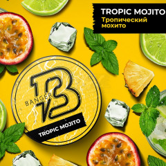 Табак для кальяна Banger - Tropic Mojito (Тропический Мохито) 25 гр