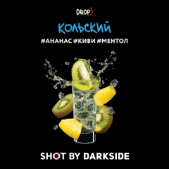 Табак для кальяна Dark Side Shot - Кольский (Ананас Киви Ментол) 120 гр