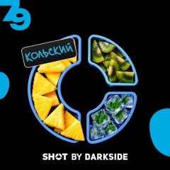 Табак для кальяна Dark Side Shot - 79 Киви Ананас Ментол 25 гр